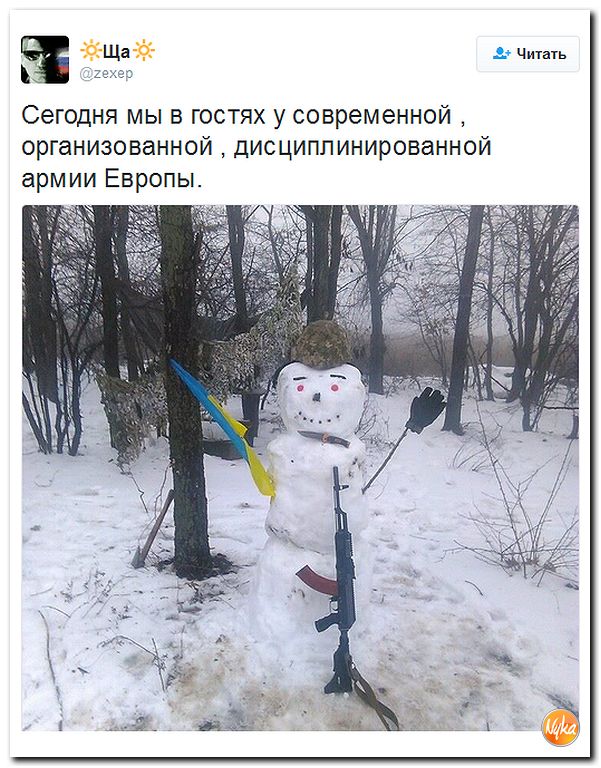 "Мыздобулы" в картинках. Смешных и не очень... 11-12-2016