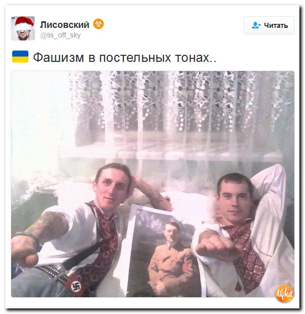 "Мыздобулы" в картинках. Смешных и не очень... 11-12-2016