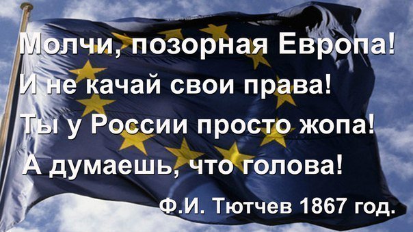 "Мыздобулы" в картинках. Смешных и не очень... 11-12-2016