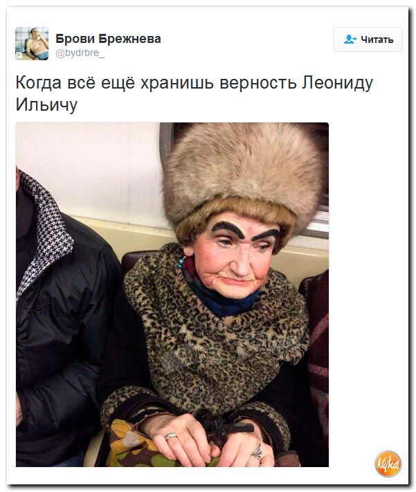 "Мыздобулы" в картинках. Смешных и не очень... 11-12-2016