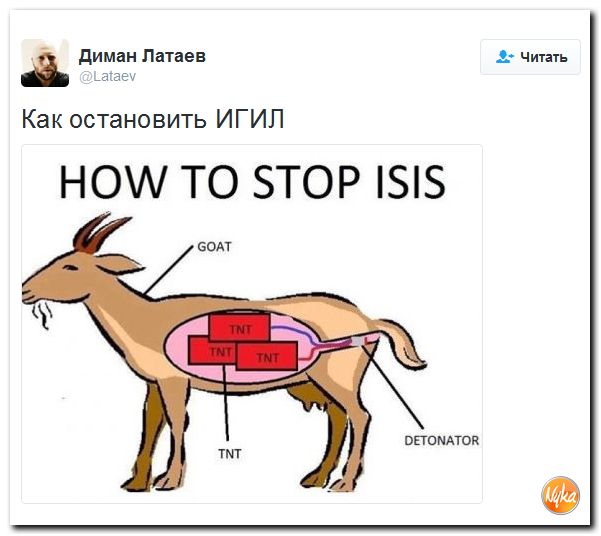 "Мыздобулы" в картинках. Смешных и не очень... 11-12-2016