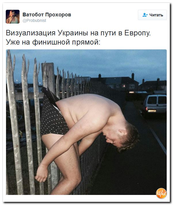 "Мыздобулы" в картинках. Смешных и не очень... 11-12-2016