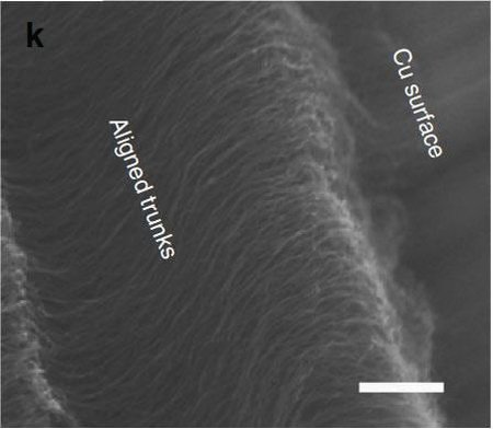 Новая подборка новостей мира науки и техники 11-12-2016