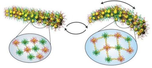 Новая подборка новостей мира науки и техники 11-12-2016