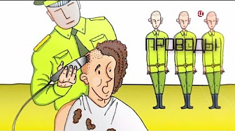 Упал! Отжался! Звезды в армии