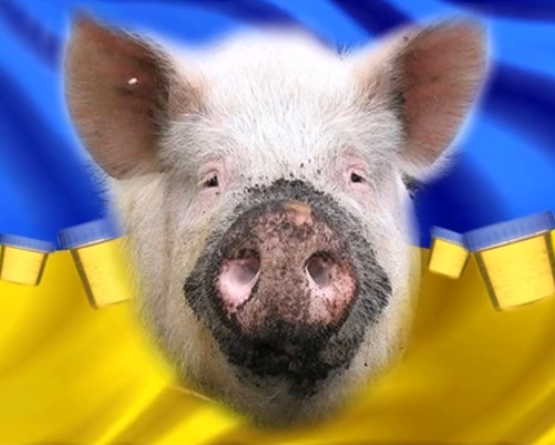 Радиоперехват (большая подборка укробреда)