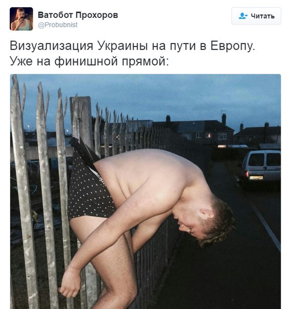"Мыздобулы" в картинках. Смешных и не очень... 12-12-2016