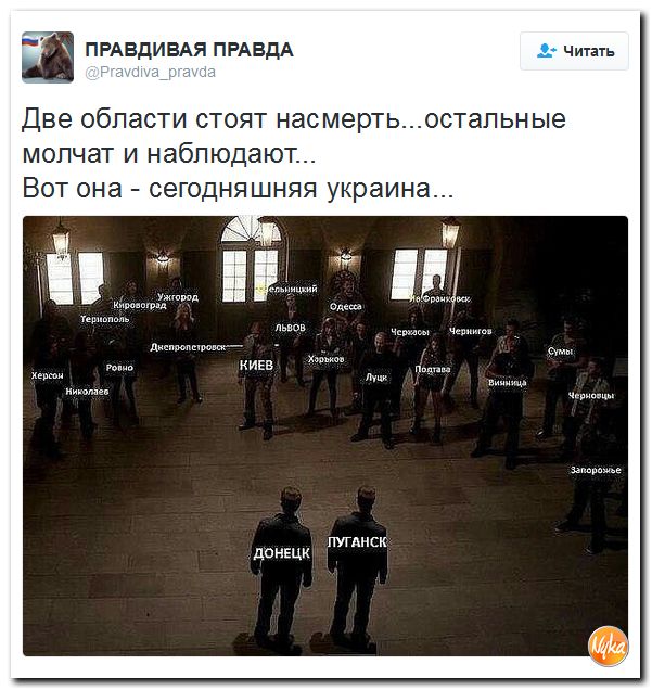 "Мыздобулы" в картинках. Смешных и не очень... 12-12-2016