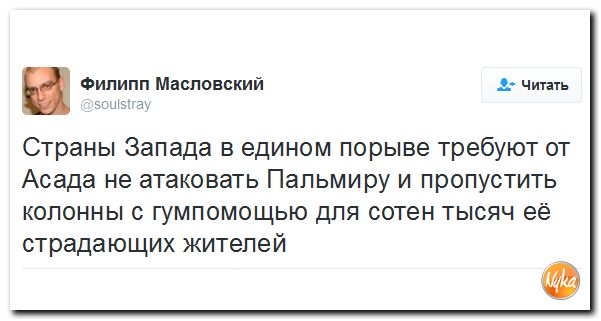 "Мыздобулы" в картинках. Смешных и не очень... 12-12-2016
