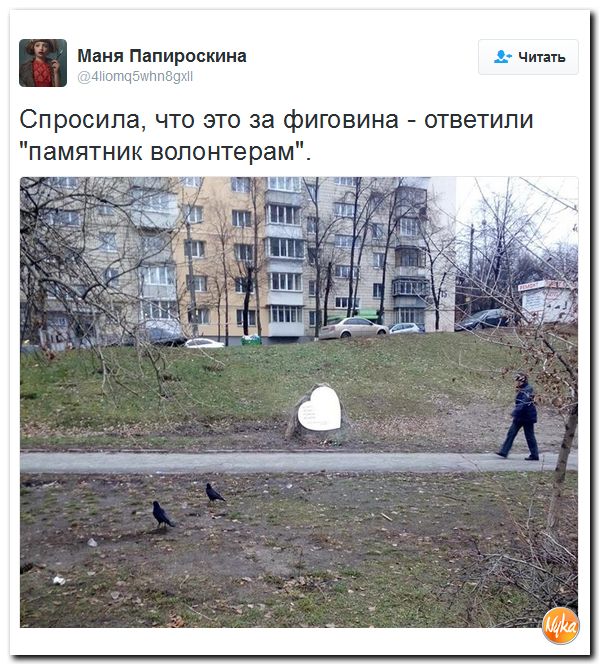 "Мыздобулы" в картинках. Смешных и не очень... 12-12-2016