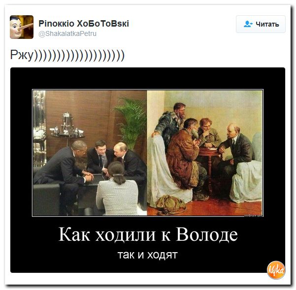 "Мыздобулы" в картинках. Смешных и не очень... 12-12-2016