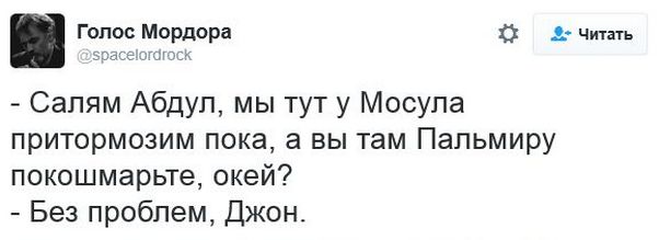 "Мыздобулы" в картинках. Смешных и не очень... 12-12-2016