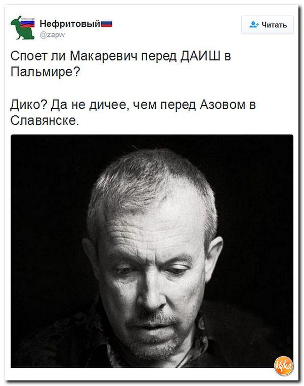 "Мыздобулы" в картинках. Смешных и не очень... 12-12-2016