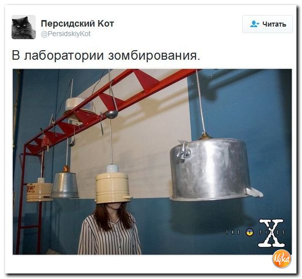 "Мыздобулы" в картинках. Смешных и не очень... 12-12-2016