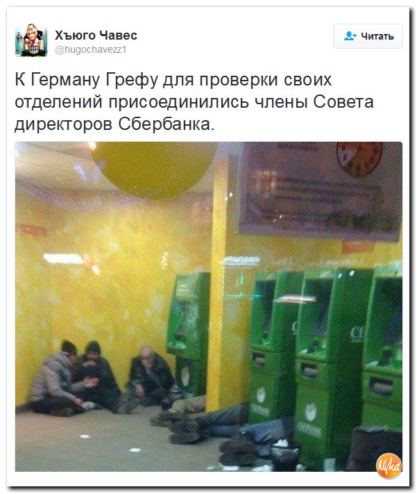 "Мыздобулы" в картинках. Смешных и не очень... 12-12-2016