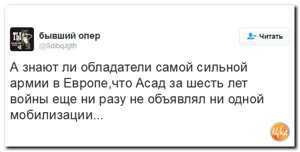 "Мыздобулы" в картинках. Смешных и не очень... 13-12-2016