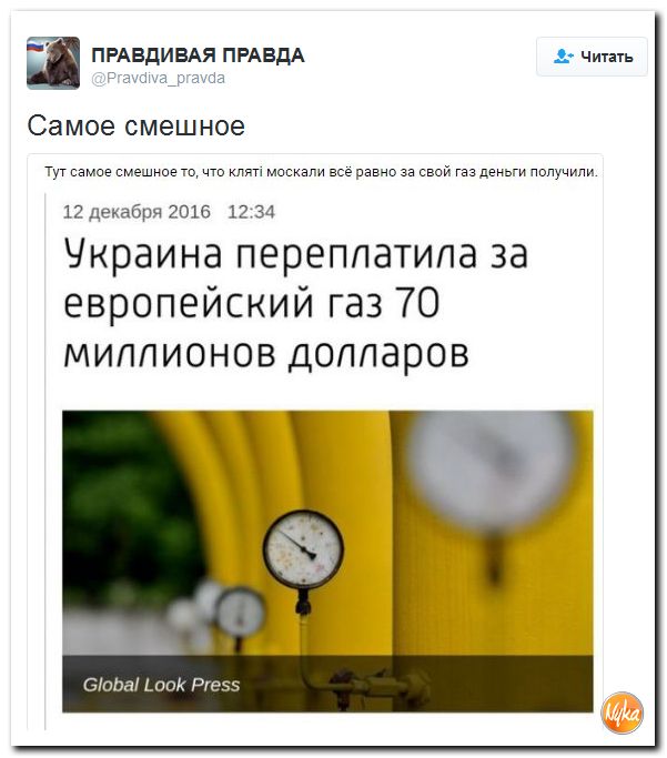 "Мыздобулы" в картинках. Смешных и не очень... 13-12-2016