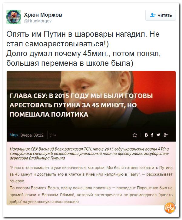 "Мыздобулы" в картинках. Смешных и не очень... 13-12-2016