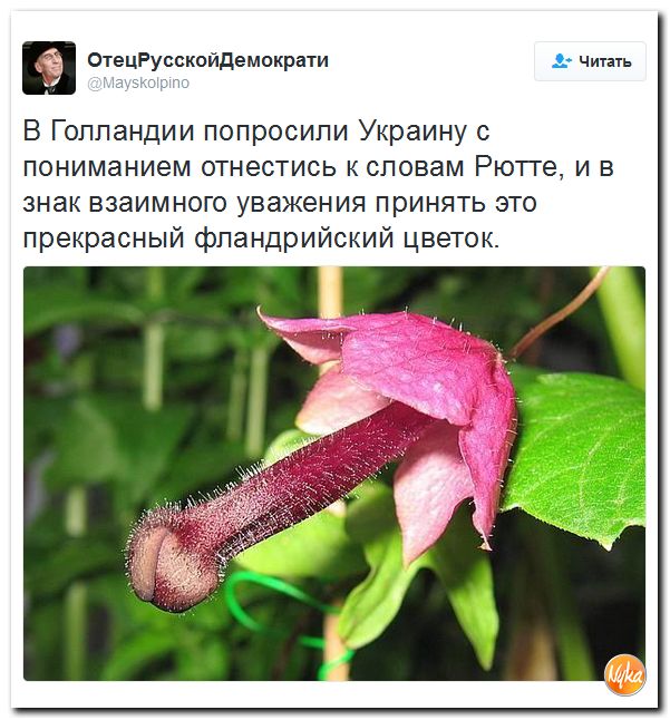 "Мыздобулы" в картинках. Смешных и не очень... 13-12-2016