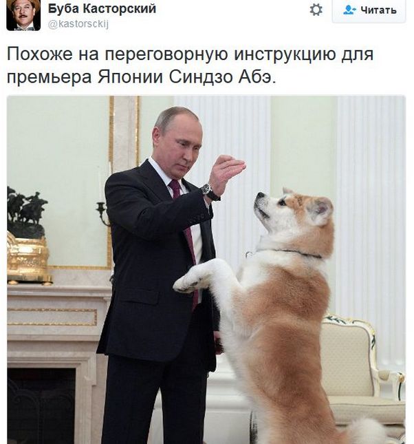 "Мыздобулы" в картинках. Смешных и не очень... 13-12-2016