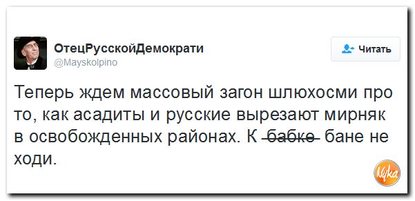 "Мыздобулы" в картинках. Смешных и не очень... 13-12-2016