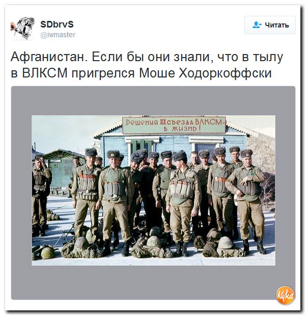 "Мыздобулы" в картинках. Смешных и не очень... 13-12-2016