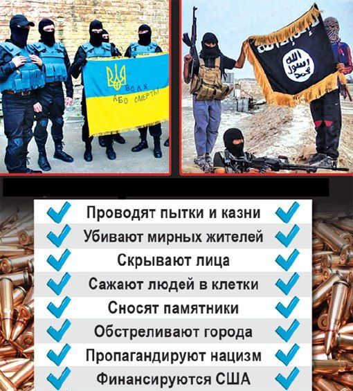 "Мыздобулы" в картинках. Смешных и не очень... 13-12-2016