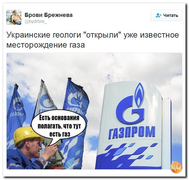 "Мыздобулы" в картинках. Смешных и не очень... 14-12-2016