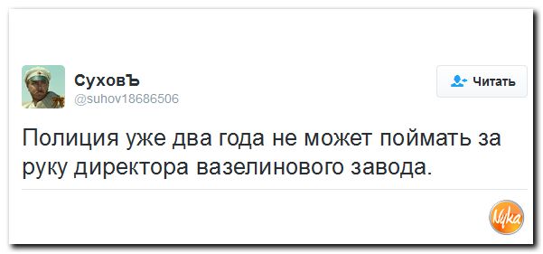"Мыздобулы" в картинках. Смешных и не очень... 14-12-2016