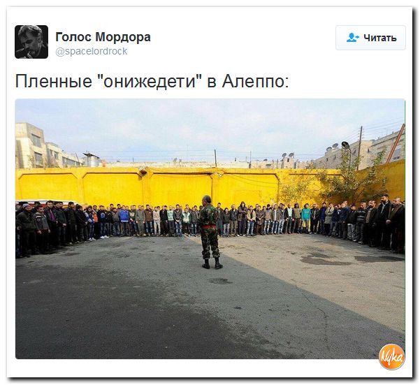 "Мыздобулы" в картинках. Смешных и не очень... 14-12-2016