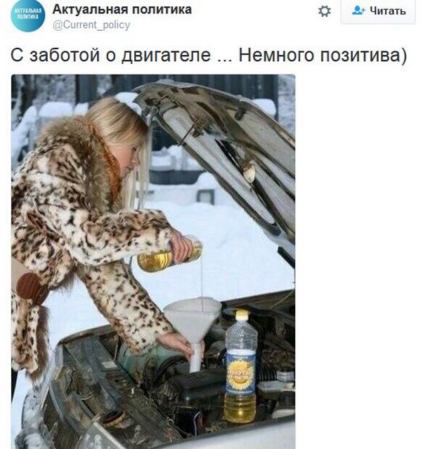 "Мыздобулы" в картинках. Смешных и не очень... 14-12-2016