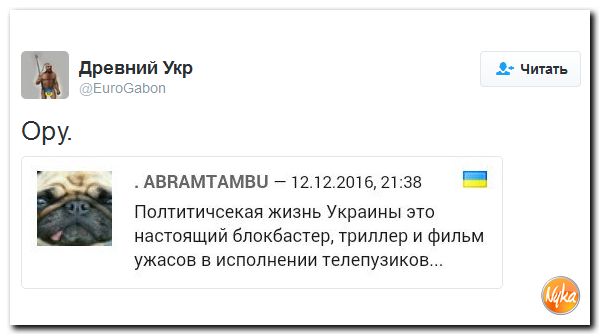 "Мыздобулы" в картинках. Смешных и не очень... 14-12-2016