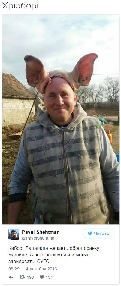 "Мыздобулы" в картинках. Смешных и не очень... 14-12-2016