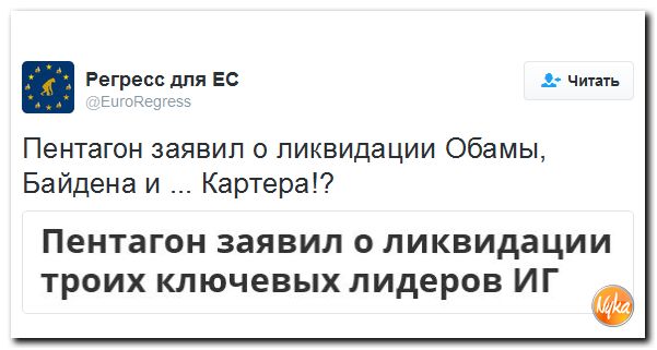 "Мыздобулы" в картинках. Смешных и не очень... 14-12-2016