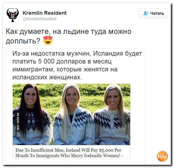 "Мыздобулы" в картинках. Смешных и не очень... 14-12-2016