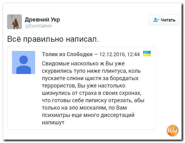 "Мыздобулы" в картинках. Смешных и не очень... 14-12-2016