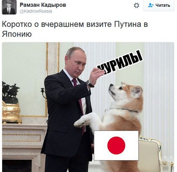 "Мыздобулы" в картинках. Смешных и не очень... 16-12-2016