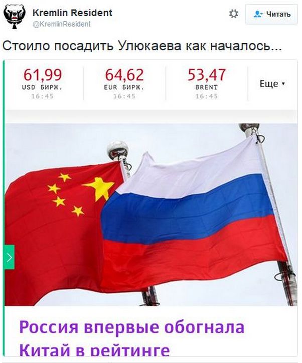 "Мыздобулы" в картинках. Смешных и не очень... 16-12-2016