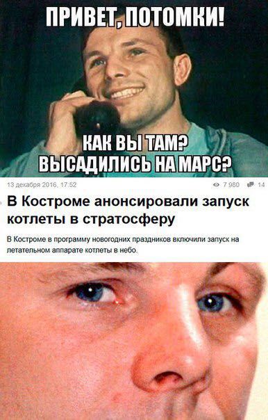 "Мыздобулы" в картинках. Смешных и не очень... 16-12-2016