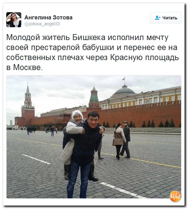 "Мыздобулы" в картинках. Смешных и не очень... 17-12-2016 "Мыздобулы" в картинках. Смешных и не очень... 17-12-2016