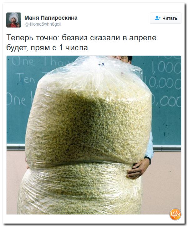 "Мыздобулы" в картинках. Смешных и не очень... 17-12-2016 "Мыздобулы" в картинках. Смешных и не очень... 17-12-2016