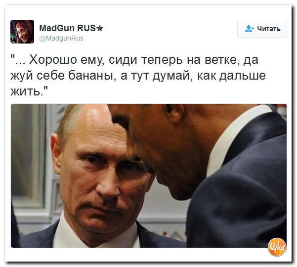 "Мыздобулы" в картинках. Смешных и не очень... 17-12-2016 "Мыздобулы" в картинках. Смешных и не очень... 17-12-2016