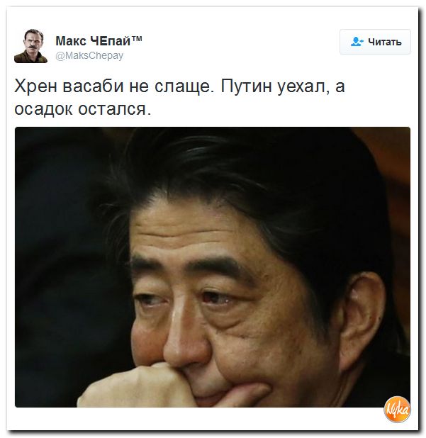 "Мыздобулы" в картинках. Смешных и не очень... 17-12-2016 "Мыздобулы" в картинках. Смешных и не очень... 17-12-2016