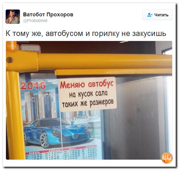 "Мыздобулы" в картинках. Смешных и не очень... 17-12-2016 "Мыздобулы" в картинках. Смешных и не очень... 17-12-2016