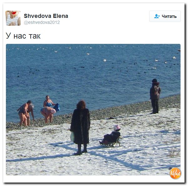 "Мыздобулы" в картинках. Смешных и не очень... 17-12-2016 "Мыздобулы" в картинках. Смешных и не очень... 17-12-2016