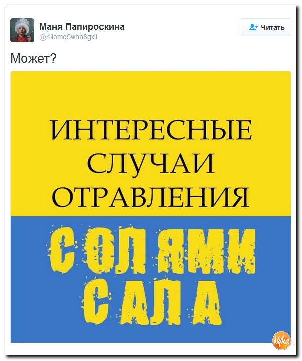 "Мыздобулы" в картинках. Смешных и не очень... 17-12-2016 "Мыздобулы" в картинках. Смешных и не очень... 17-12-2016