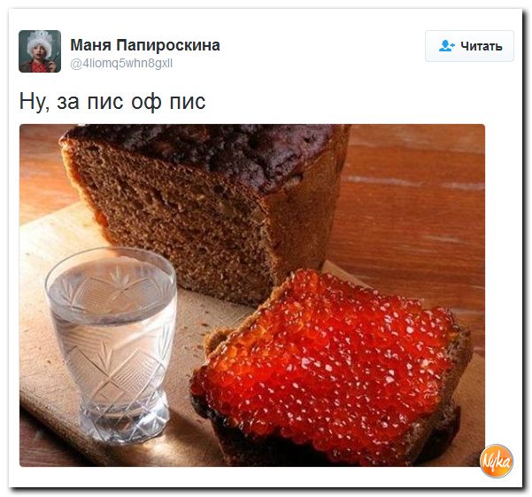 "Мыздобулы" в картинках. Смешных и не очень... 17-12-2016 "Мыздобулы" в картинках. Смешных и не очень... 17-12-2016