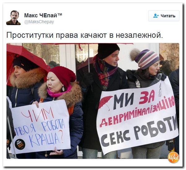 "Мыздобулы" в картинках. Смешных и не очень... 17-12-2016 "Мыздобулы" в картинках. Смешных и не очень... 17-12-2016