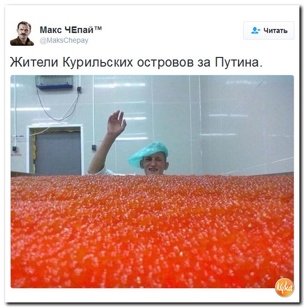 "Мыздобулы" в картинках. Смешных и не очень... 17-12-2016 "Мыздобулы" в картинках. Смешных и не очень... 17-12-2016