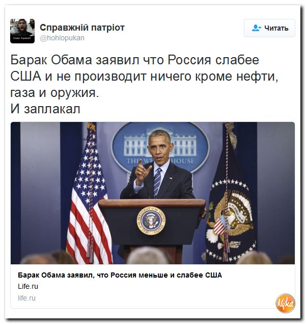 "Мыздобулы" в картинках. Смешных и не очень... 17-12-2016 "Мыздобулы" в картинках. Смешных и не очень... 17-12-2016